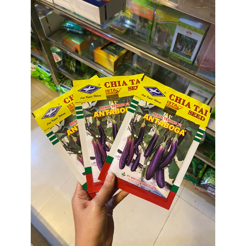 Benih/Bibit Terong Ungu Antaboga F1 10gr