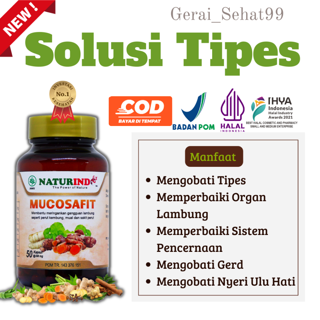 Obat Tipes Tifus  Demam Tifoid  Nafsu Napsu Makan  Demam Tinggi  Herbal Tipes Ampuh