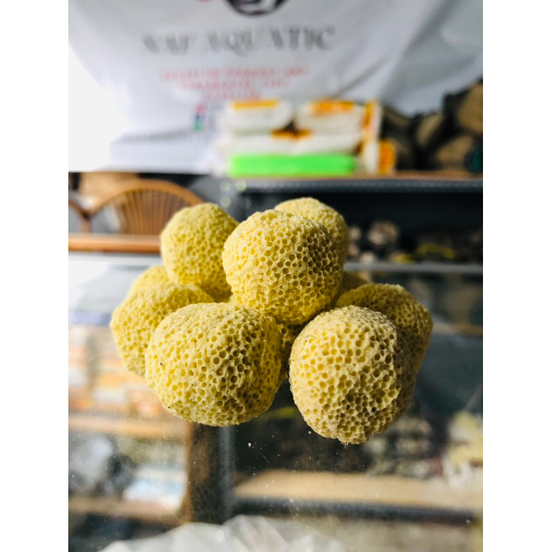 BIO BALL MOMOGI PREMIUM MEDIA FILTER BIOLOGIS