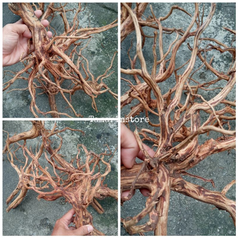 Akar Kayu Rasamala Dekorasi Hiasan Aquarium Aquascape