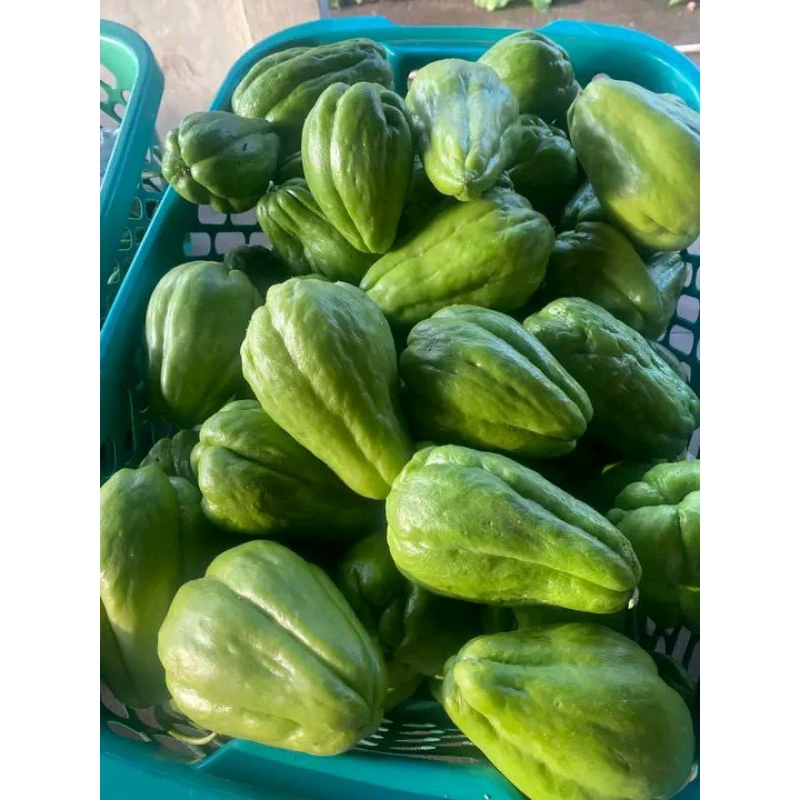 

⭐️⭐️⭐️⭐️⭐️ jipang segar super premium 500 gram