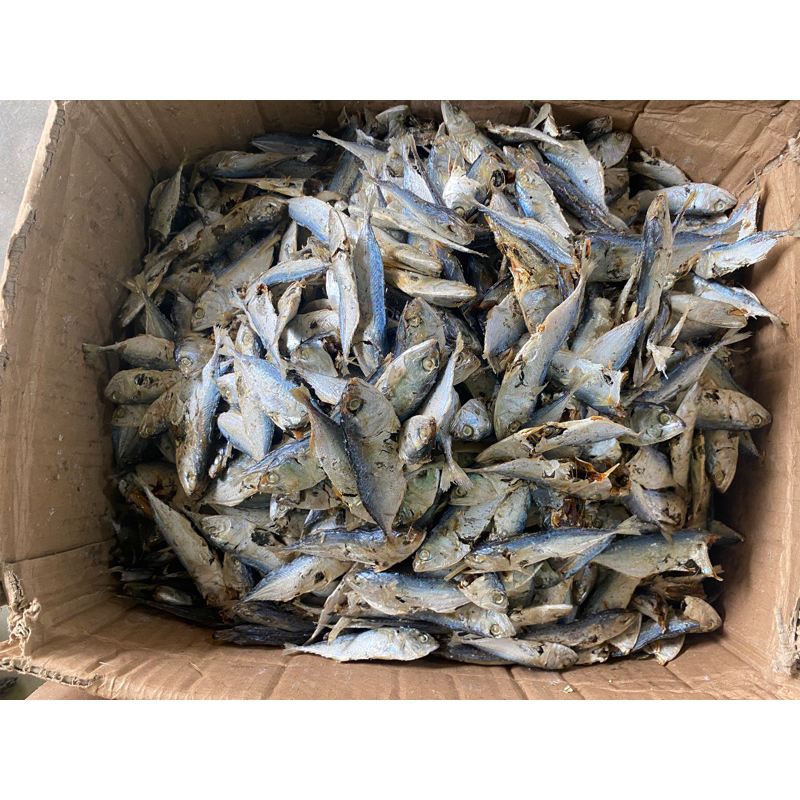 

gembung rebus 500gr termurah