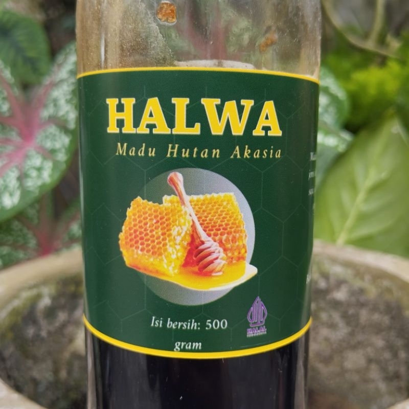 

Madu Hutan Akasia Halwa 1 Kg