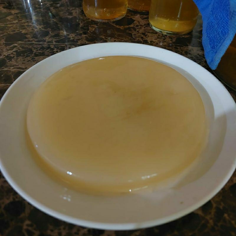 

BIBIT KOMBUCHA PREMIUM / SCOBY PREMIUM / HIGH QUALITY