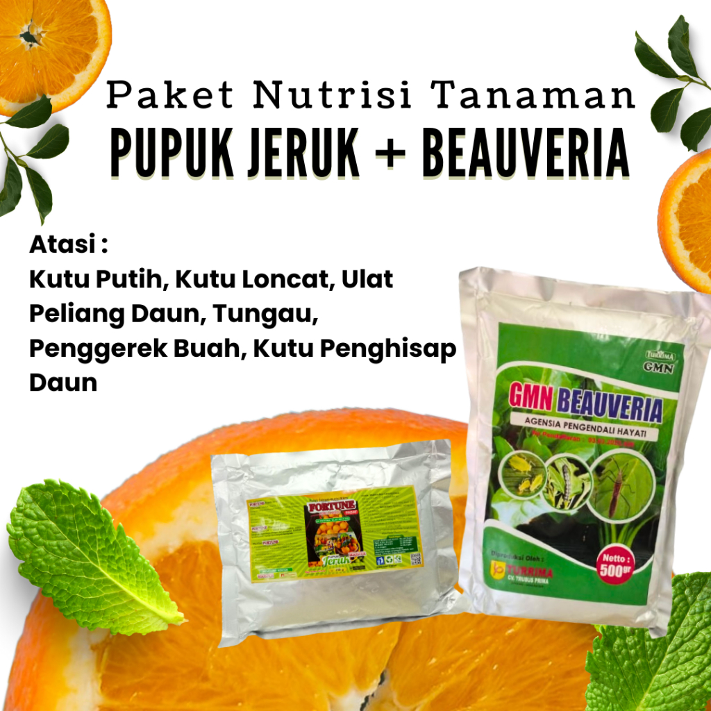 Pupuk Organik Pelebat Buah Jeruk, Pembasmi Hama Tungau Jeruk Santang Madu
