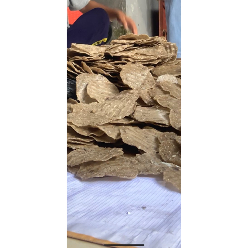 

kemplangpalembangasli