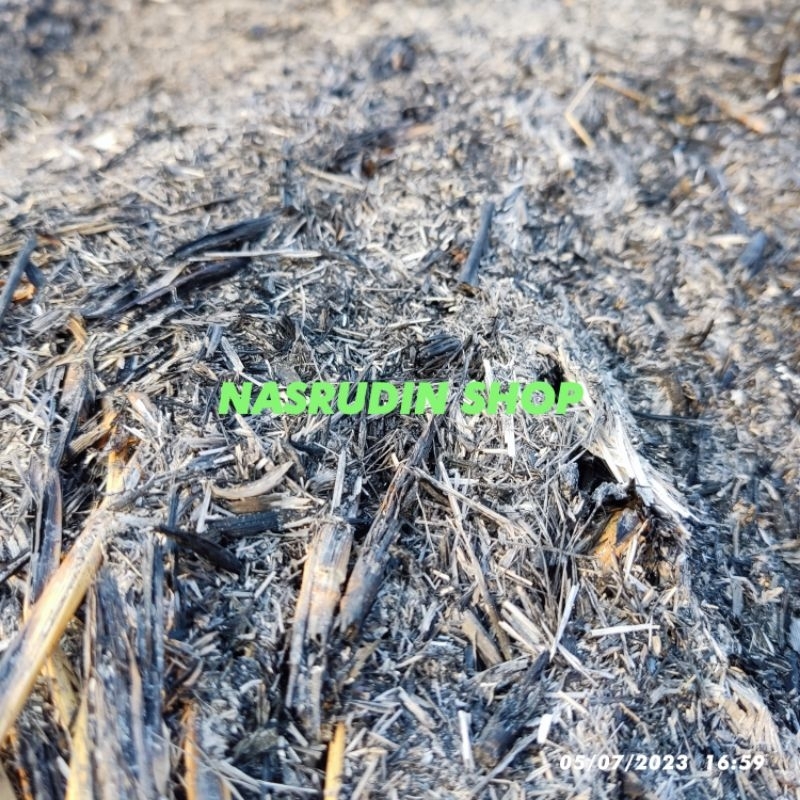 

[Fresh] JUAL JERAMI BAKAR ABU JERAMI PADI BAKAR untuk media tanam / ABU JERAMI BAKAR