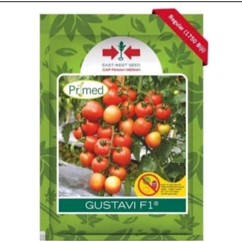 Benih Bibit Tomat Gustavi F1 1750 butir