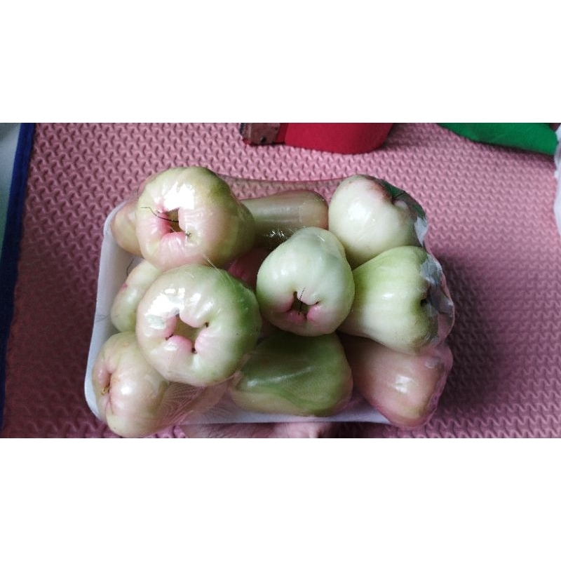 

Jambu madu delima / pack 1 kg