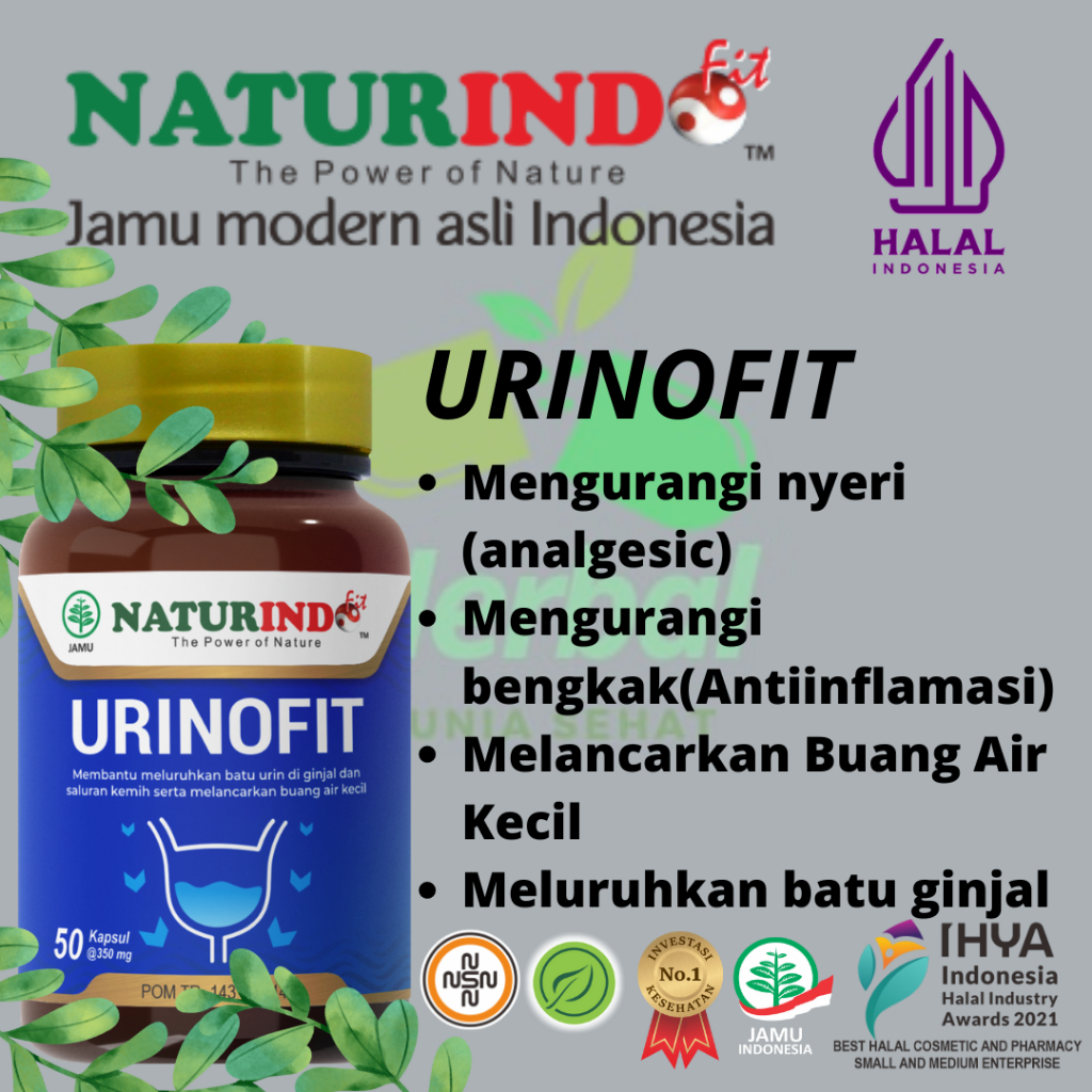 Obat Infeksi Saluran Kencing Kemih Pria Wanita Obat Anyang Anyangen Kencing Beser Nanah Batu Ginjal 