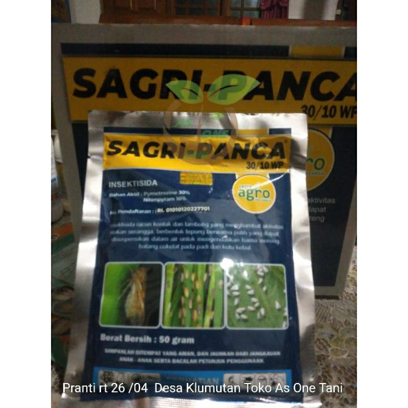 Insektisida Pengendali Wereng Coklat Sagri Panca