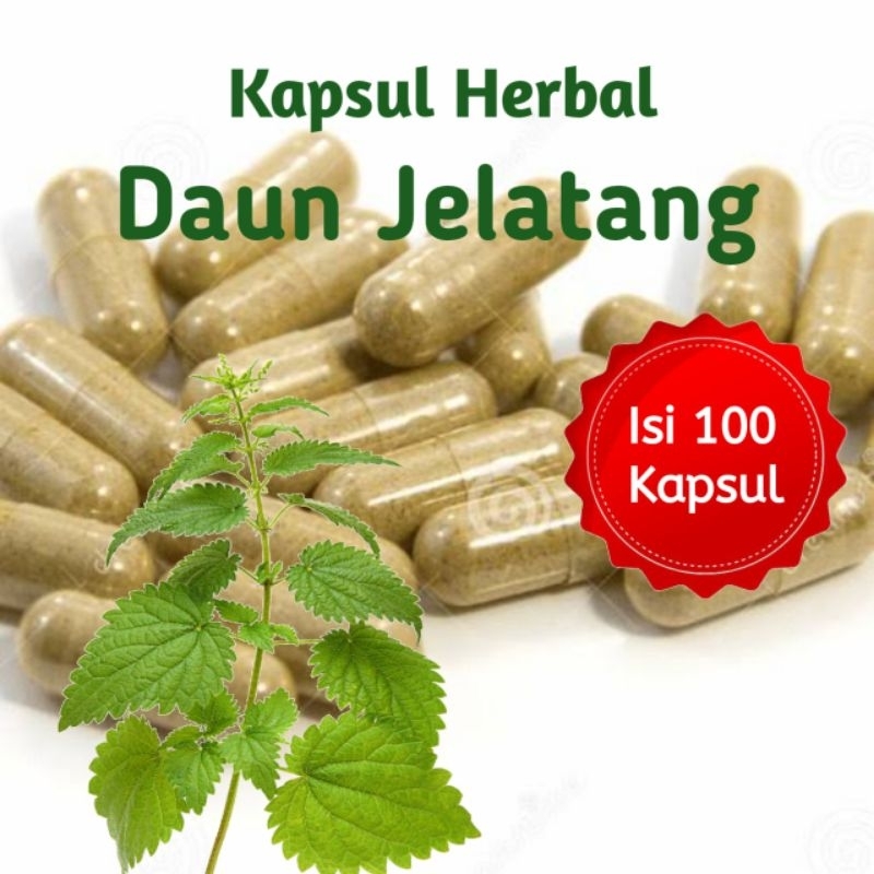 

Kapsul Daun Jelatang Isi 100 Kapsul Herbal