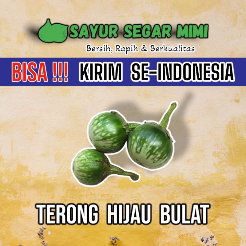 

Terong Hijau Bulat / Terong Lalap 250Gram - Sᴀʏᴜʀ Sᴇɢᴀʀ ♏ɪᴍɪ