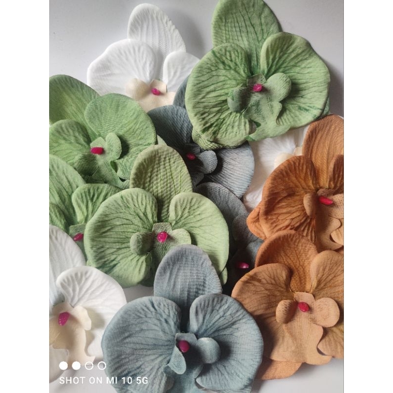 (11 cm) Kelopak anggrek Bunga anggrek mahar bunga mahar