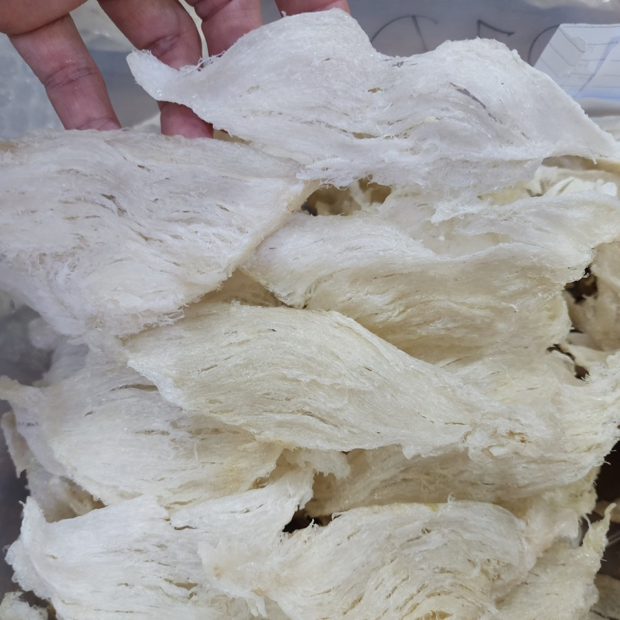 

Sarang Burung Walet Birdnest Bersih Lempeng Flat Export / gram Asli Yenwo