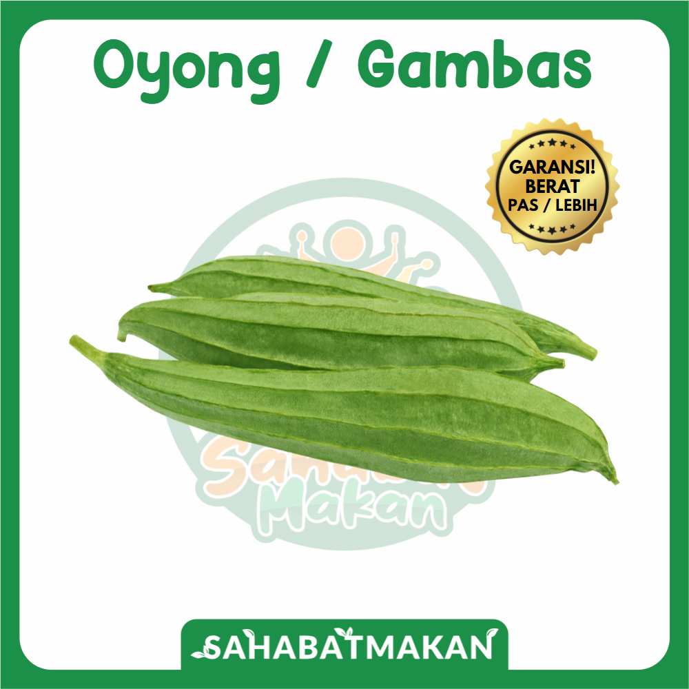 

Gambas / Oyong — Sahabat Makan Sayur Jogja