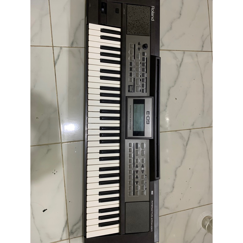 Roland e09
