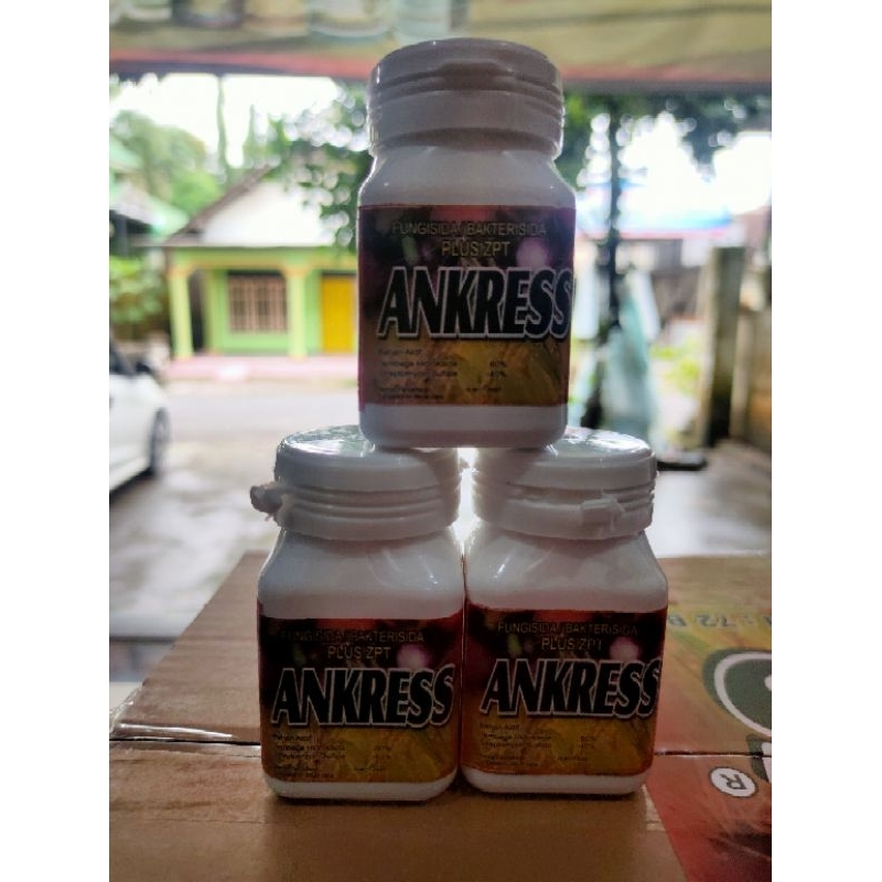 fungisida / bakterisida plus zpt ANKRESS