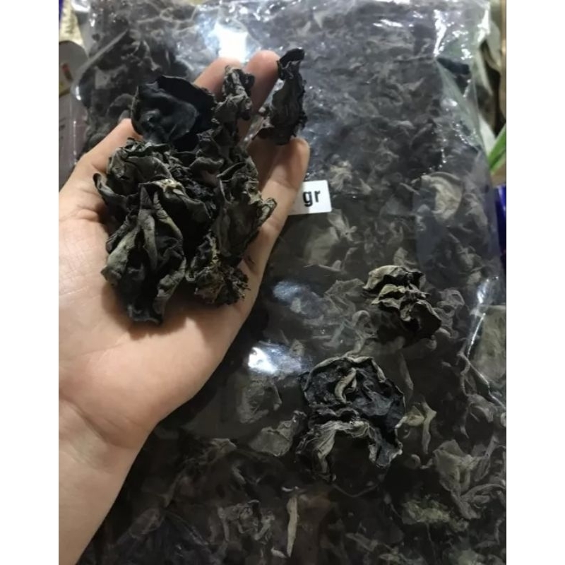 

jamur kuping atau bokni 250 gram