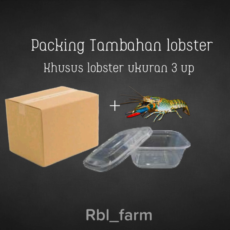 

PACKING TAMBAHAN LOBSTER