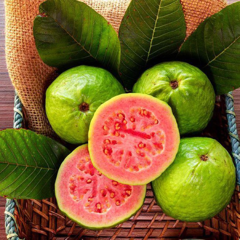 

JAMBU BIJI MERAH 1Kg