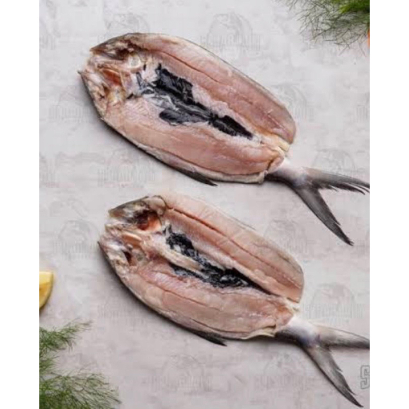 

IkanBandenhTanpaDuri