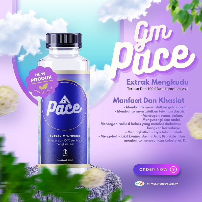 

Obat herbal liver ampuh Pace GM Therapy