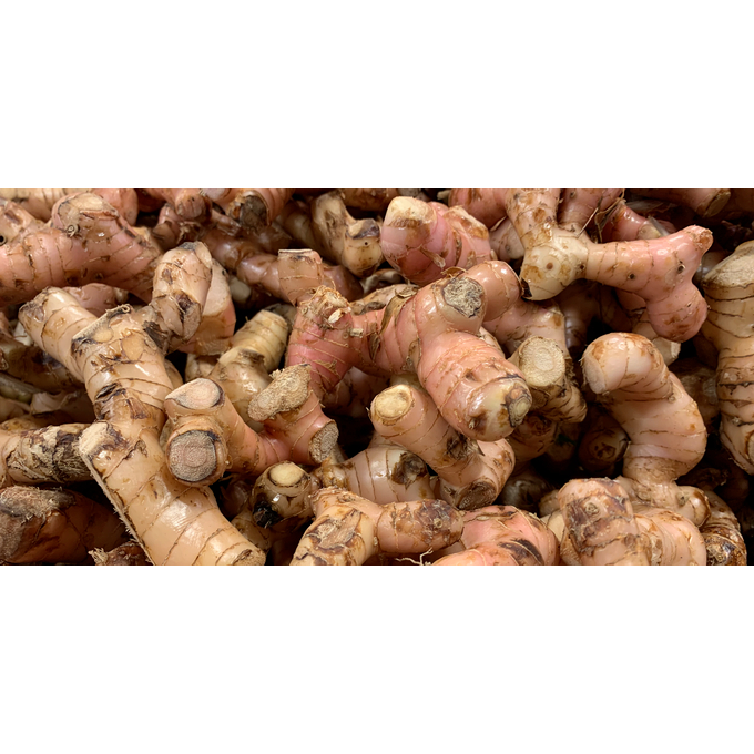 

LENGKUAS MURAH SEGAR ALAMI 500g