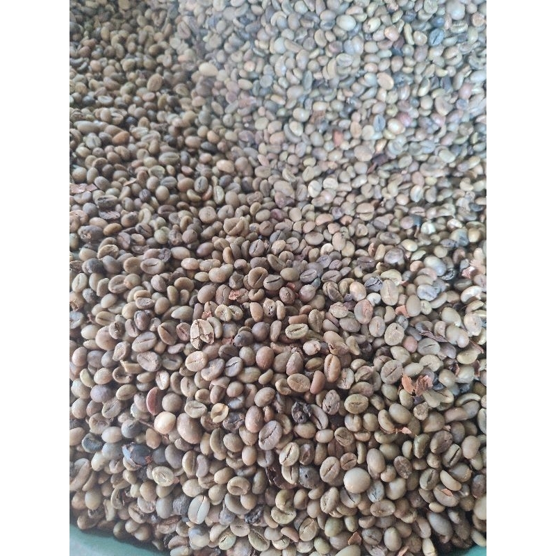 

Biji kopi robusta 1kg