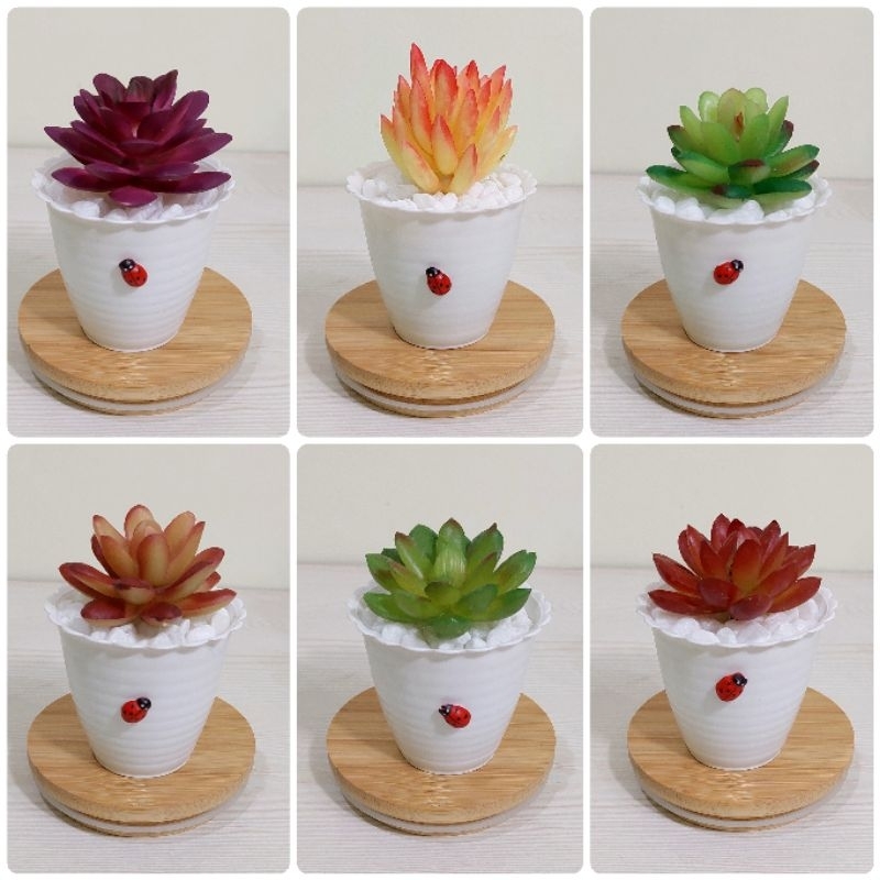 Sukulen Kaktus Artificial / kaktus palsu / sukulen palsu / kaktus plastik