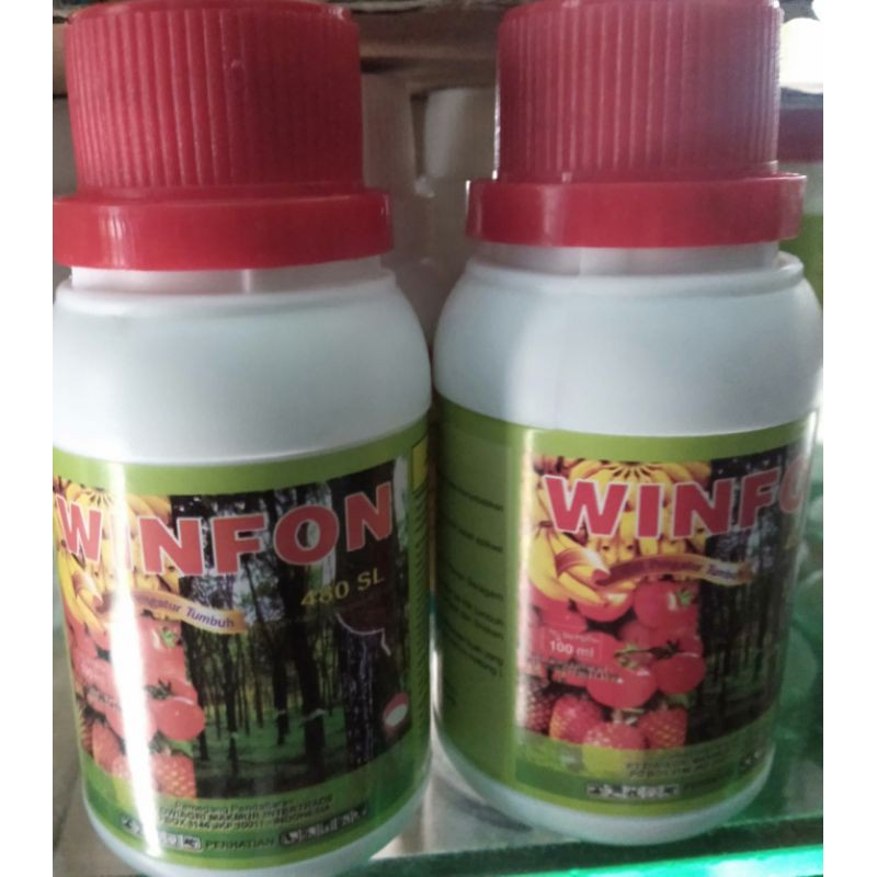WINFON 480 SL Kemasan 100 ML Pematang/Pemasak Buah