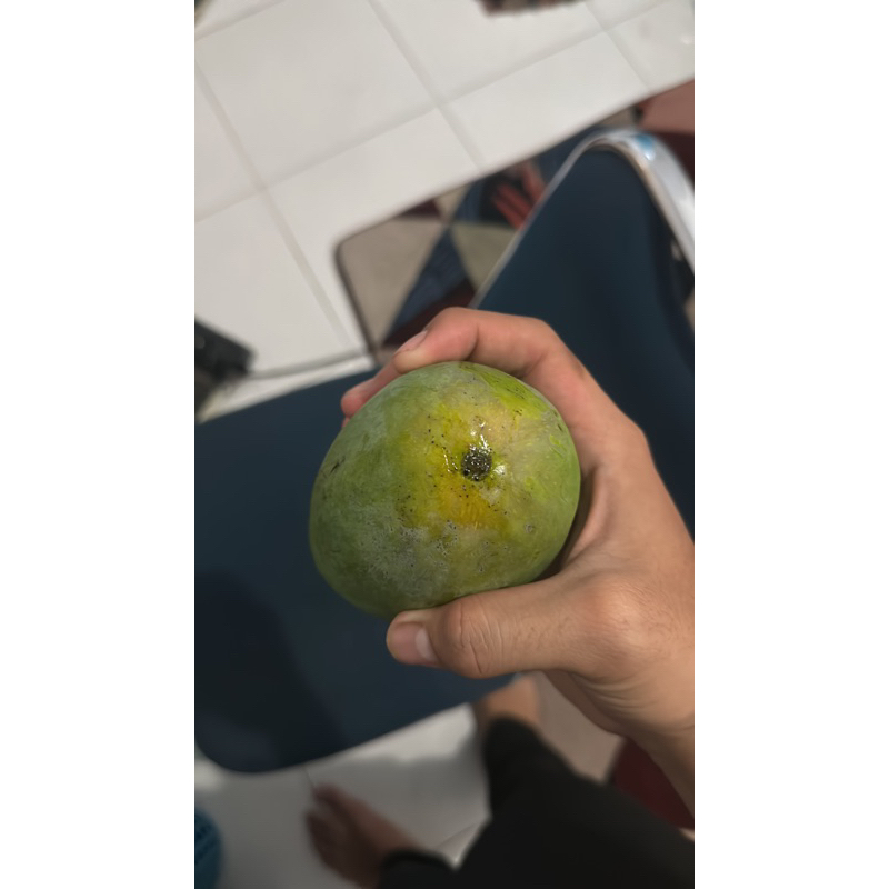 

mangga madu