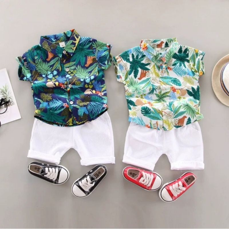 CS308 Hawaii Beach Set | Setelan Kemeja Pantai Anak Laki-laki | Baju Anak