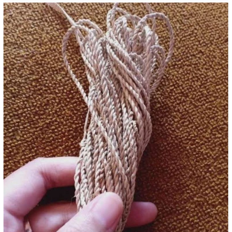 

jual tali pelepah pisang kering kerajinan tanang/panjang tali 1mtr tali di jamin kuat harga per meter Rp5000