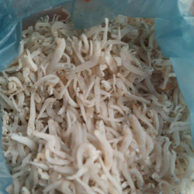 

Teri Medan 500gr