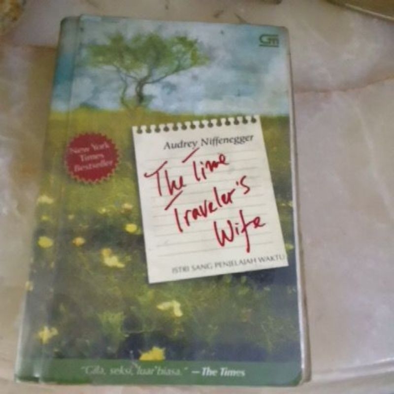 

Audrey Niffenegger Novel