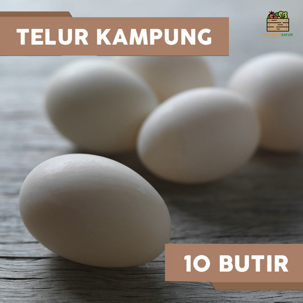 

Telur Ayam Kampung | 10 butir (Kota Bandung & Sekitar)