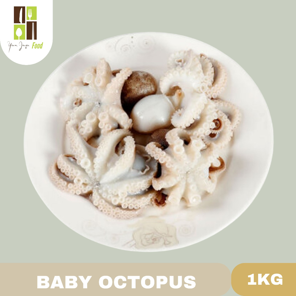 Baby Octopus / Bayi Gurita 1kg