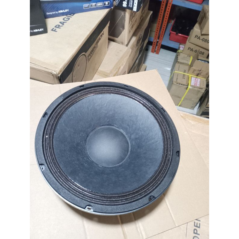 SPEAKER 12 INCH WISDOM W300 85