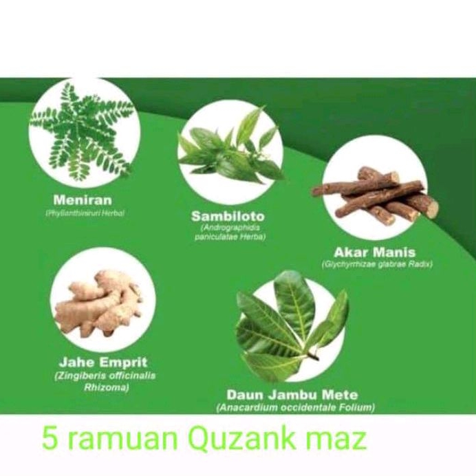 

5 Rupa daun Jamu godog Tradisional QiEM