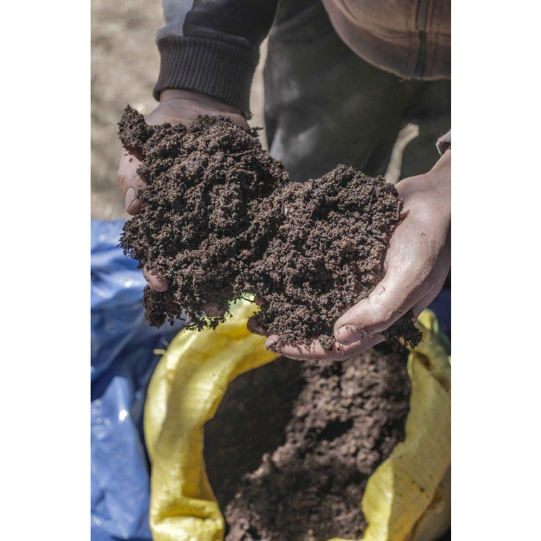 KOHE Pupuk Kandang Sapi - Karung