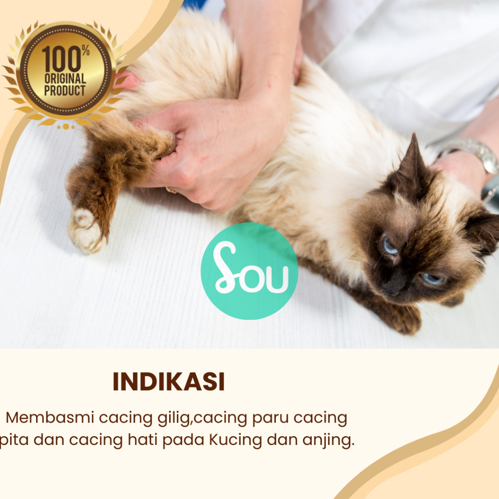 Obat Cacing Kucing Anjing Kelinci Clearworm