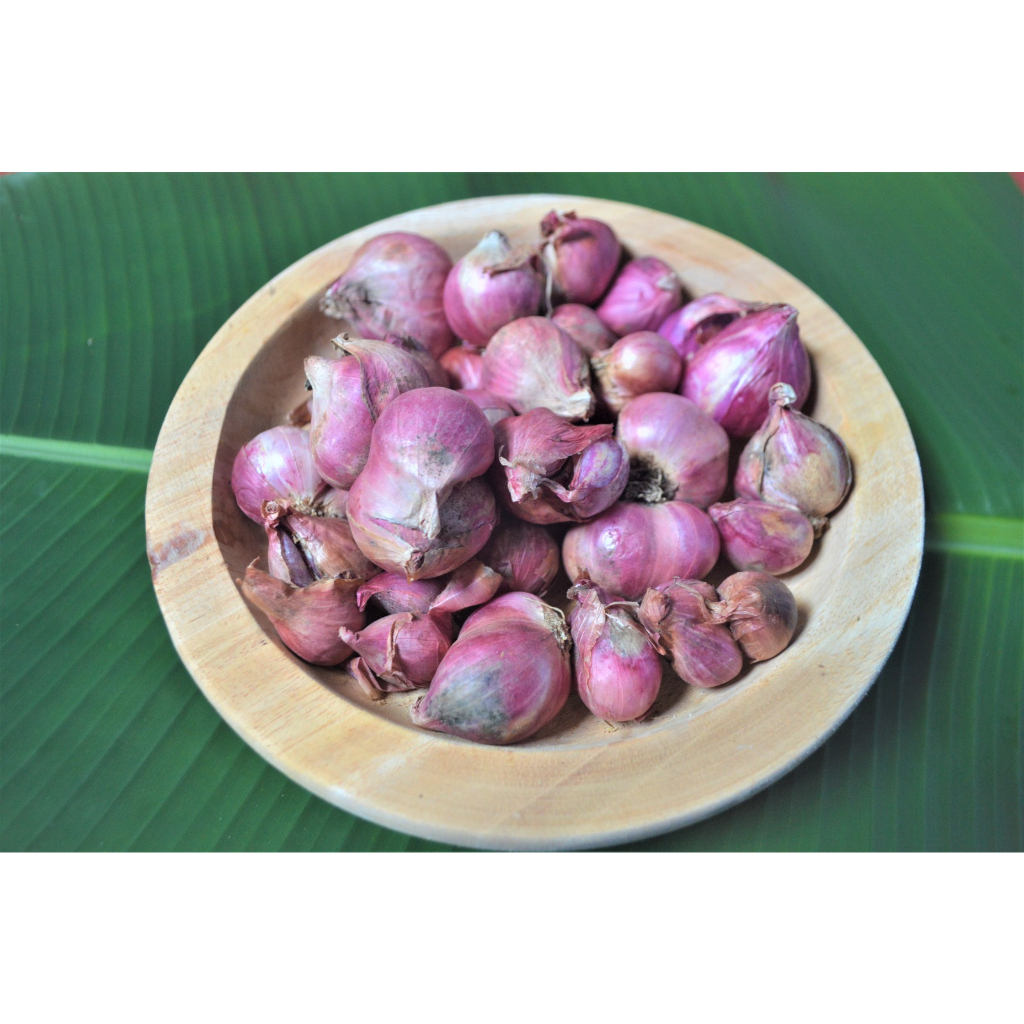 

Kirim Instant - Bawang Merah
