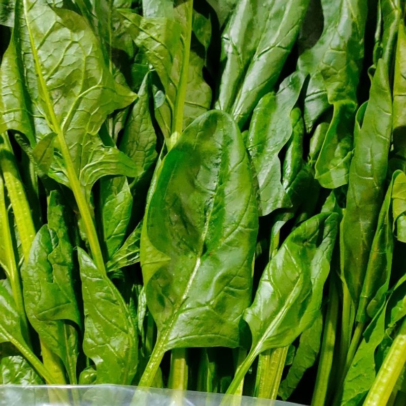 

sayur bayam jepang