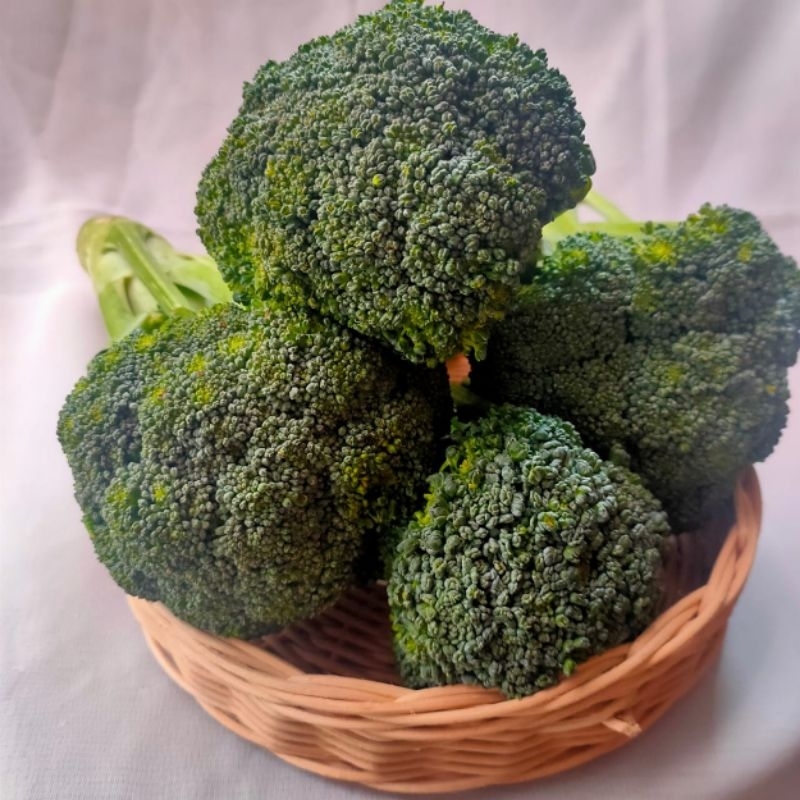 

brokoli