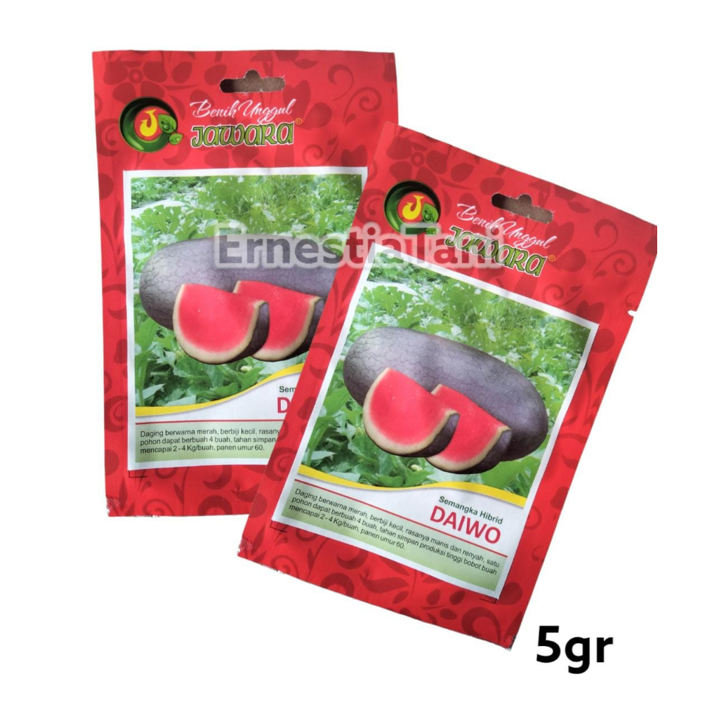 Bibit Semangka DAIWO 5 gr Benih Buah Semangka Unggul Tanpa Biji JAWARA