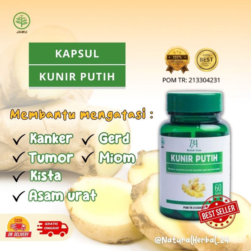 Kapsul Kunyit Kunir Putih Asli Original | Kunir Putih | Kunyit Putih  Al Birkah isi 60 kapsul