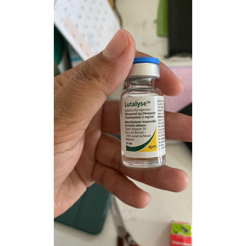 Lutalyse 10 ml / by Zoetis