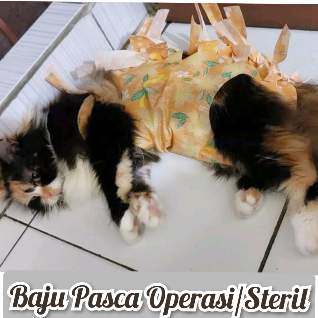 Baju Steril Kucing Baju Pasca Steril Baju Pasca Operasi Kucing Baju Gurita Kucing Baju Penutup Luka 