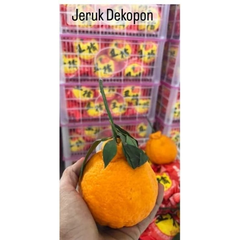 

jeruk dekopon 1 kg.